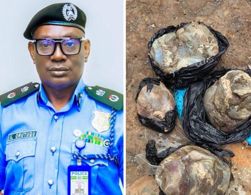 Police arrest female suspect in murder of pregnant nurse