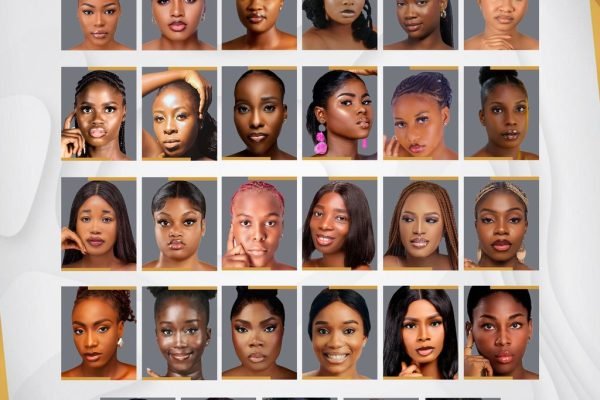 Doctor, Economist, Psychologist in Miss Ideal Nigeria 2025 Top 40