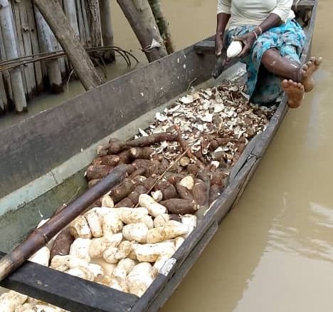 Flood submerges Anambra communities, destroys farms, roads, houses