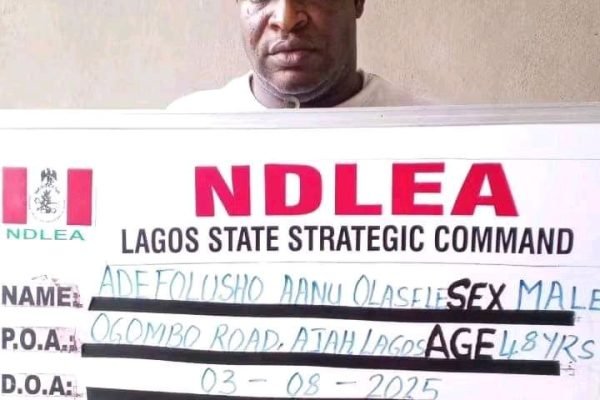 NDLEA Nabs Wanted Pastor, Seizes Tonnes of Cannabis and Opioids in Nationwide Raids