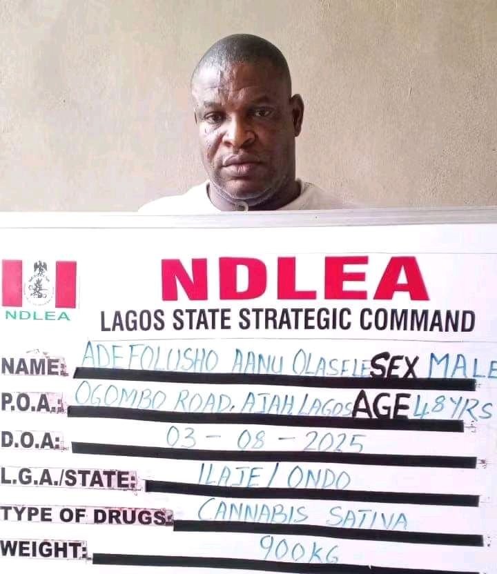 NDLEA Nabs Wanted Pastor, Seizes Tonnes of Cannabis and Opioids in Nationwide Raids