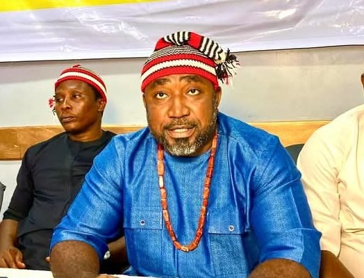 Bye-election: Ohanaeze Tasks Anambra Youth On Civic Engagement, Unity