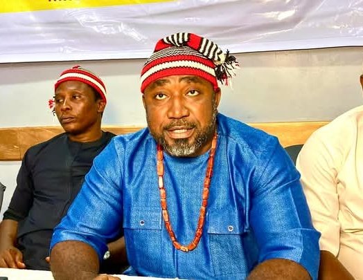 Bye-election: Ohanaeze Tasks Anambra Youth On Civic Engagement, Unity