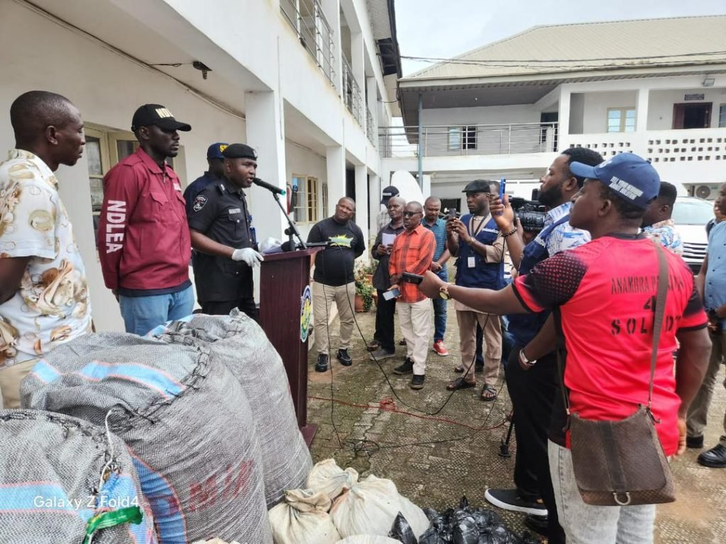 Police arrest 54 suspected drug dealers, recover bags of hemps in Anambra