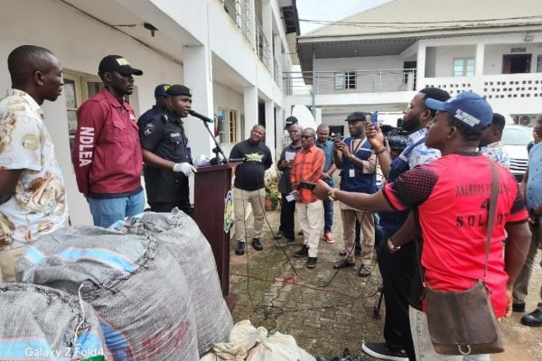 Police arrest 54 suspected drug dealers, recover bags of hemps in Anambra