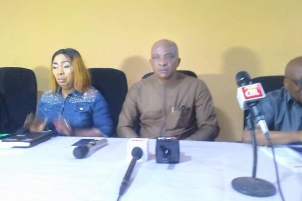 24,000 ad hoc staff, 540 journalists to participate in Anambra governorship election - INEC