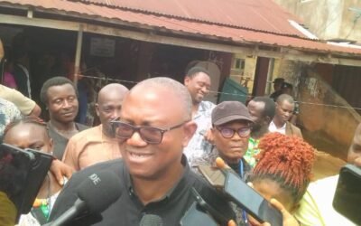 Peter Obi Welcomes Scrutiny of Academic Certificates, Challenges Other Candidates to Do Same