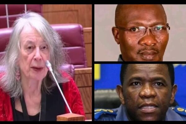 De Haas slams Mkhwanazi and Khumalo as 'not credible' in Parliament