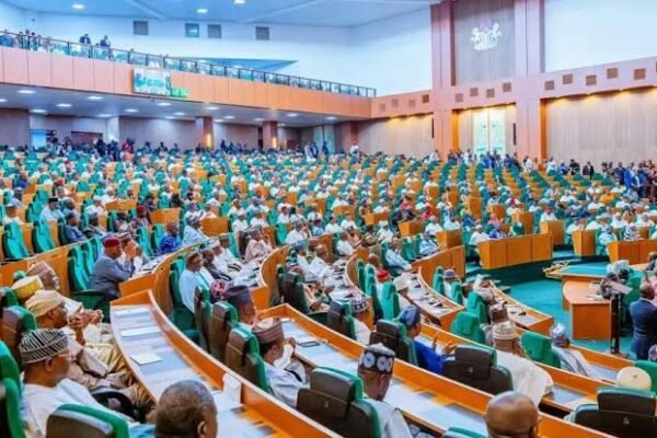 House of Reps committee confirm alterations of Nigeria’s tax laws