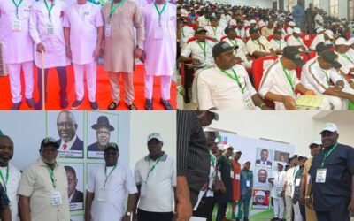 Amb. Soni Abang Leads C'River Delegation to South-South ‘Renewed Hope’ Strategy Summit in Asaba