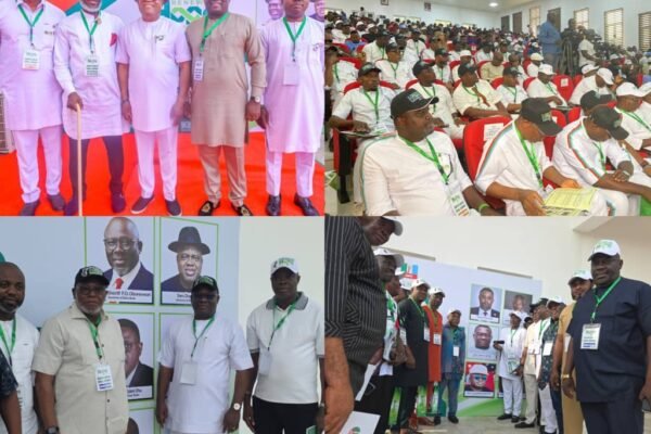 Amb. Soni Abang Leads C'River Delegation to South-South ‘Renewed Hope’ Strategy Summit in Asaba