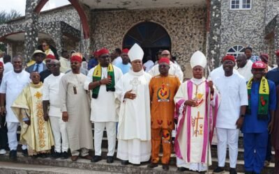 Sen Nwachukwu 6-months representation too small to showcase scorecard - Anambra South APGA stakeholders replies critics