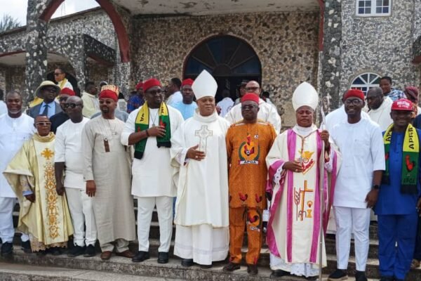 Sen Nwachukwu 6-months representation too small to showcase scorecard - Anambra South APGA stakeholders replies critics