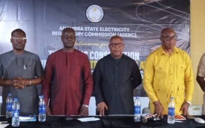 Anambra Residents To Witness Regular Electricity Supply Soon - ASERC boss