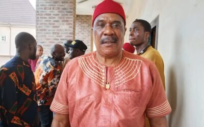 2027: Why I am vying for Anambra Assembly seat to represent Awka North - APGA aspirant, Nwokedi