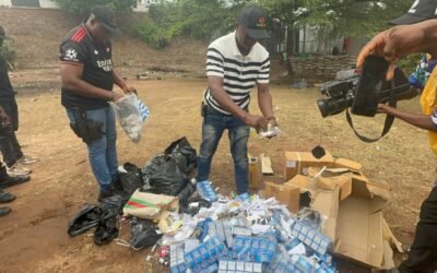 Agency Destroys N80 Million Worth of Illicit Drugs in Anambra