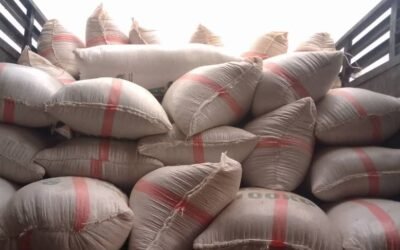 Soya Beans Revolution: C’River Govt Delivers First Shipment to Flour Mills Plc Oyo State Through “Project Grow”