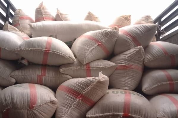 Soya Beans Revolution: C’River Govt Delivers First Shipment to Flour Mills Plc Oyo State Through “Project Grow”