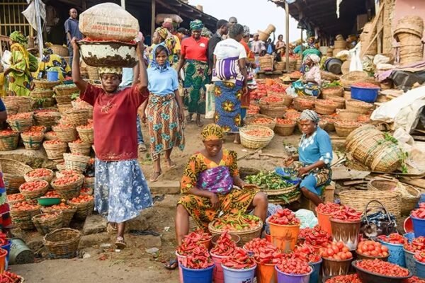 Nigeria Wastes 38 Million Tonnes of Food Yearly, Ranks Top in Africa