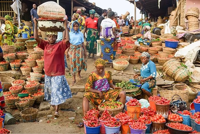 Nigeria Wastes 38 Million Tonnes of Food Yearly, Ranks Top in Africa