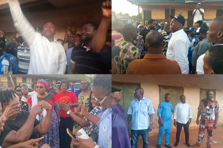 APC Primaries: Obubra 1 State Constituency Affirms Ernest Joes as Assembly Candidate Ahead of 2027 Polls