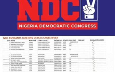 Petition Looms as NDC's Fielding of Allegedly Unscreened Aspirant Triggers Outrage in Obubra/Etung