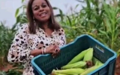 Soludo's wife distributes 5000 hybrid GMO seeds to farmers
