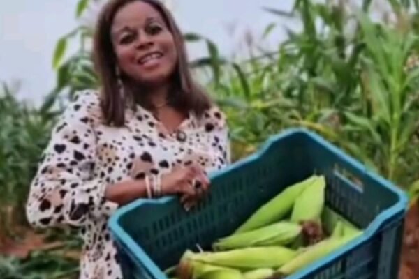 Soludo's wife distributes 5000 hybrid GMO seeds to farmers
