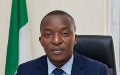 Former NUJ treasurer, Onwumelu appointed supervisory councillor for finance, Idemili North