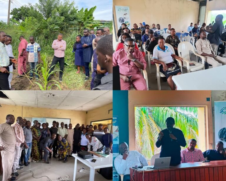 Project Grow Commences Statewide Soybean Training of Trainers in Collaboration with Flour Mills of Nigeria