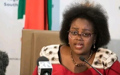 Xenophobia: Our artistes losing gigs, businesses affected, South African minister laments