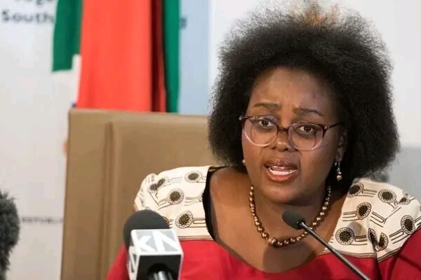 Xenophobia: Our artistes losing gigs, businesses affected, South African minister laments