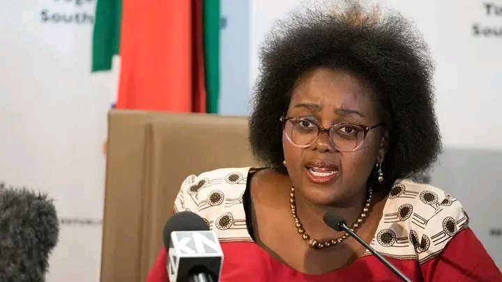 Xenophobia: Our artistes losing gigs, businesses affected, South African minister laments