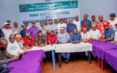 Igbo Youth Leaders Back SEDC, Call for More Federal Appointments for South-East Youths