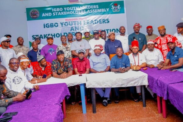 Igbo Youth Leaders Back SEDC, Call for More Federal Appointments for South-East Youths