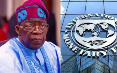 IMF asks Tinubu to impose fresh taxes on petrol, telecom, as conditions for new 5 billion dollars loan