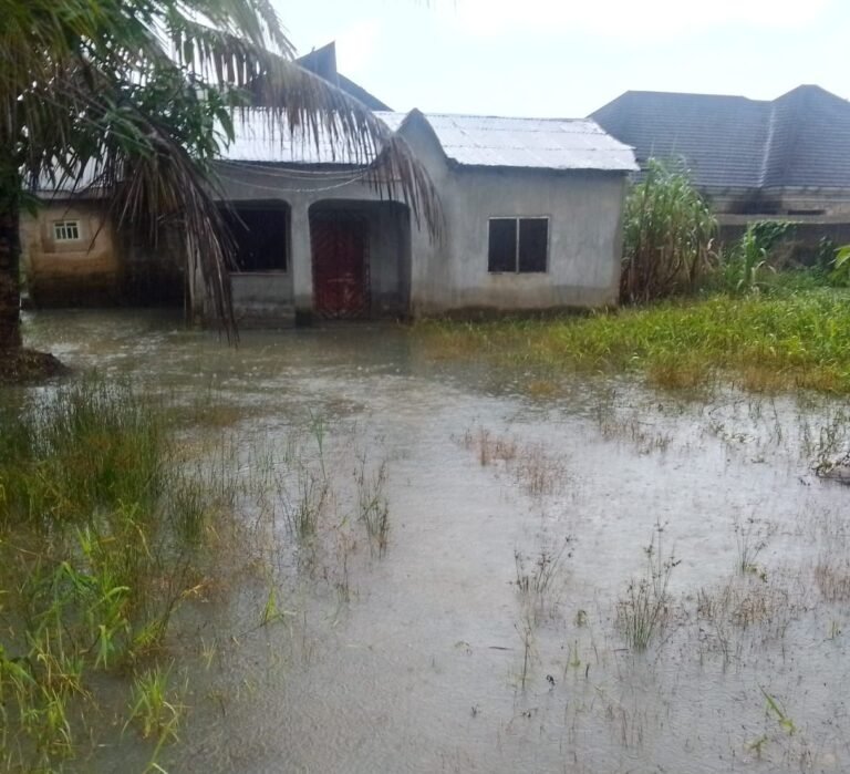 C’River: Atimbo residents appeal to Gov Otu for assistance as flood destroys property worth N27 million