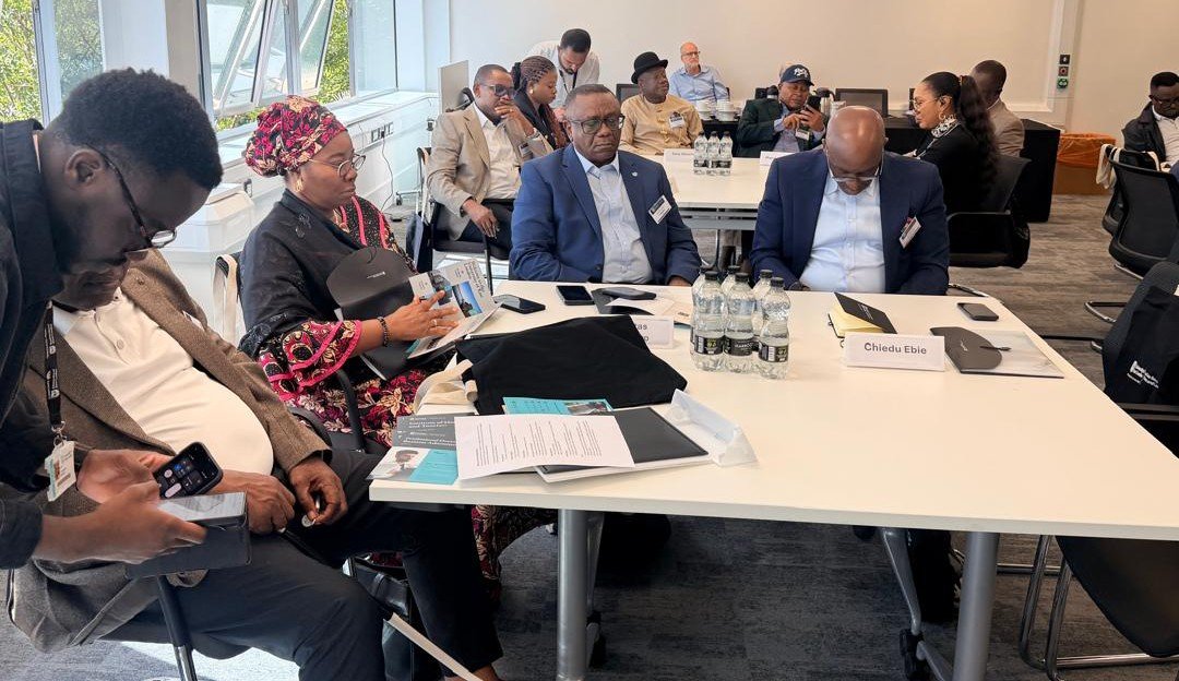 Orok Duke, NDDC Board Members Join Global Experts in London to Strengthen Niger Delta Governance