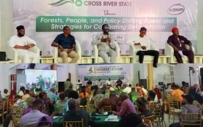 Stakeholders Sound Alarm over Rainforest Destruction in Cross River, Propose Legal Reform and Anti-Mining Roadmap