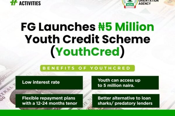 How to apply for FG N5 million loan for caterers, fashion designers, makeup artists, content creators, others
