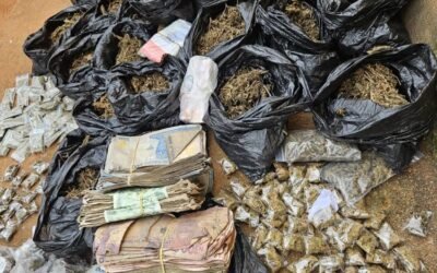 Police arrest suspected drug dealers in Anambra, recover Cannabis, cash