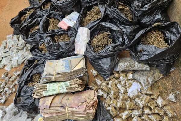 Police arrest suspected drug dealers in Anambra, recover Cannabis, cash