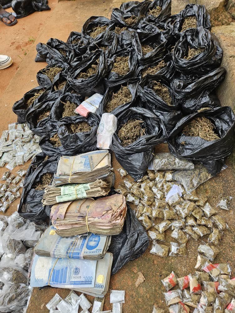 Police arrest suspected drug dealers in Anambra, recover Cannabis, cash