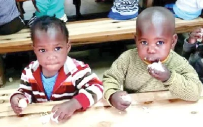 Stop spending on biscuits, buy eggs instead for your children — Nutritionists advice parents
