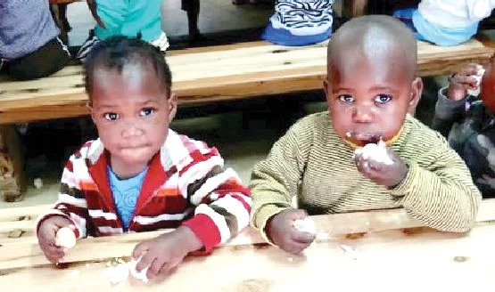 Stop spending on biscuits, buy eggs instead for your children — Nutritionists advice parents
