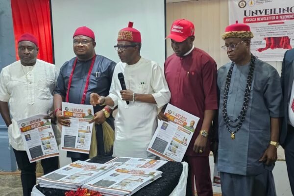 ANSACA unveils telehealth services in Anambra