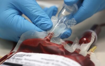 Jehovah’s Witnesses announce adjustment to blood transfusion policy