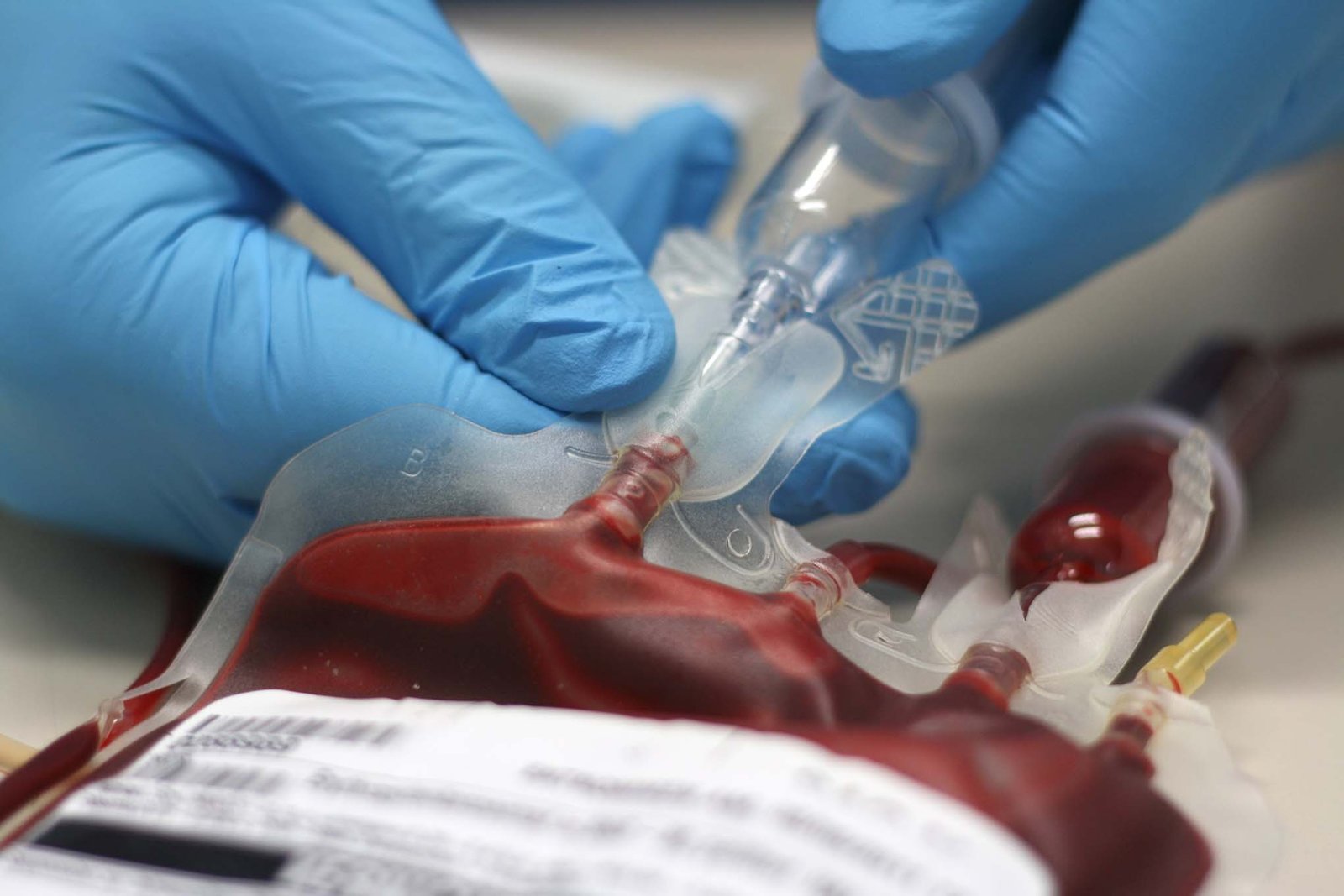Jehovah’s Witnesses announce adjustment to blood transfusion policy