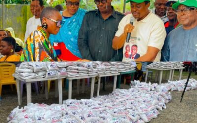 Cross River takes cowpea from proof of concept to commercial scale, targets 10,125 tonnes by 2028