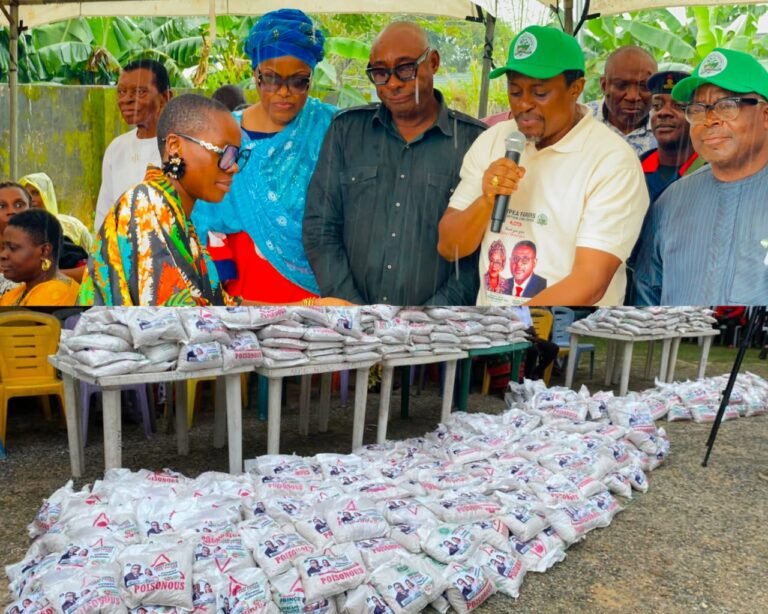 Cross River takes cowpea from proof of concept to commercial scale, targets 10,125 tonnes by 2028